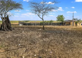 Defesa Civil Estadual alerta para agravamento da seca em todo o Estado