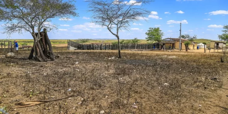 Defesa Civil Estadual alerta para agravamento da seca em todo o Estado
