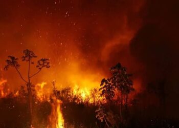 Prejuízo de R$ 1 bi para o agro no país, incêndios viram ameaça em AL