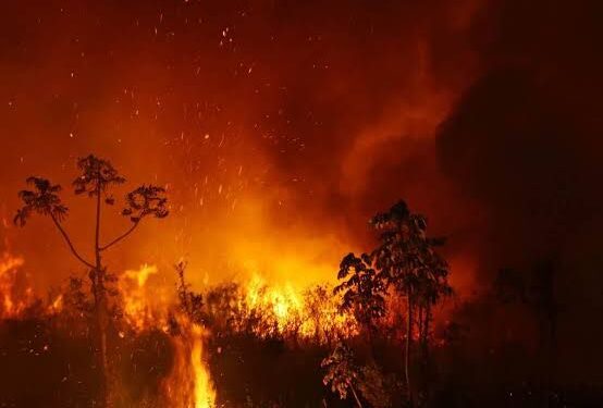 Prejuízo de R$ 1 bi para o agro no país, incêndios viram ameaça em AL