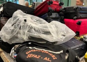 Fiscalização no Zumbi do Palmares apreende meio milhão em mercadorias irregulares